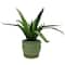 7.25" Green Ceramic Pot with Saucer by Ashland®